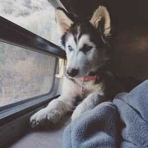 Meet your Posher, Cole